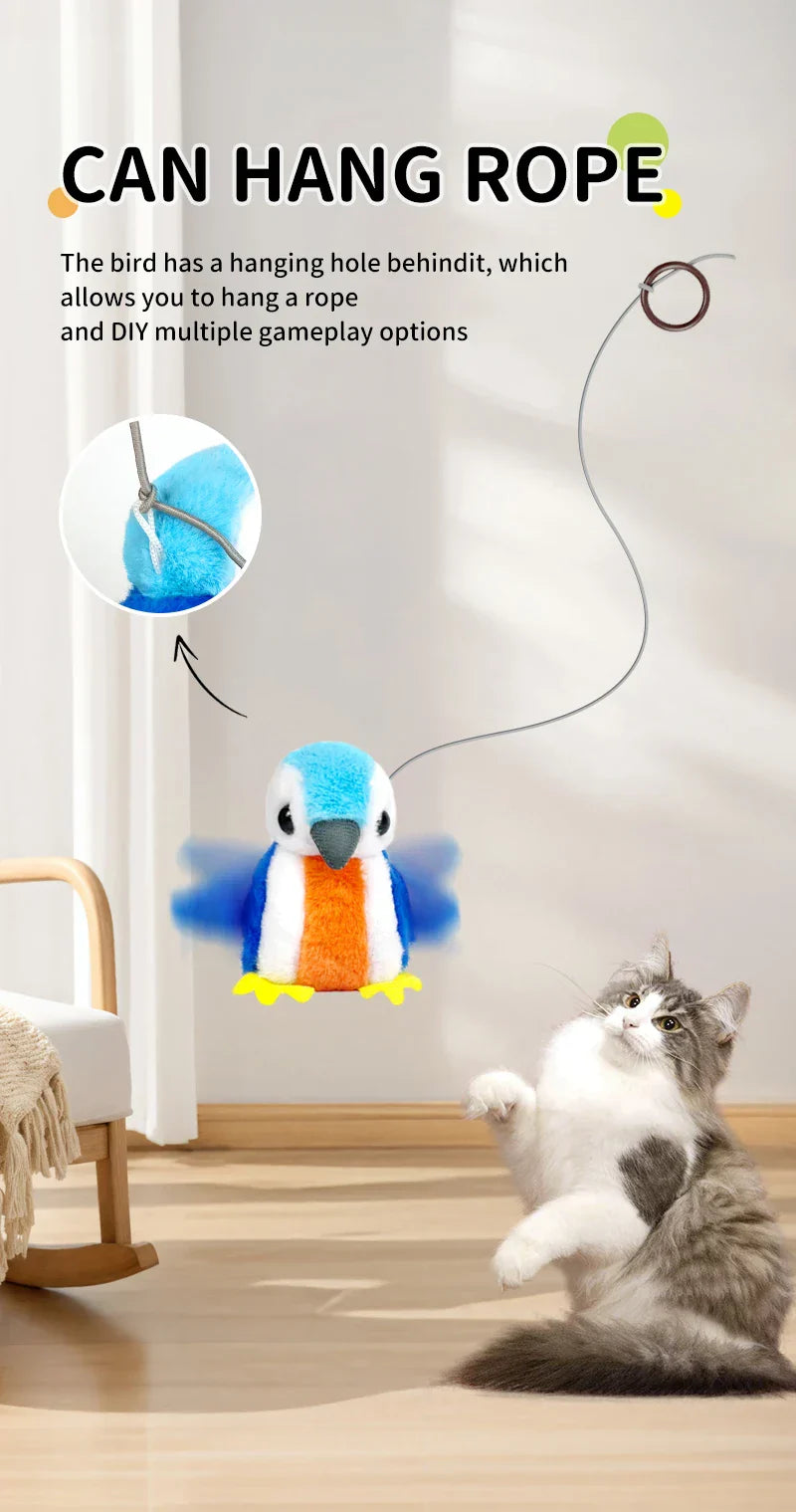 Lets Play Cat Toys